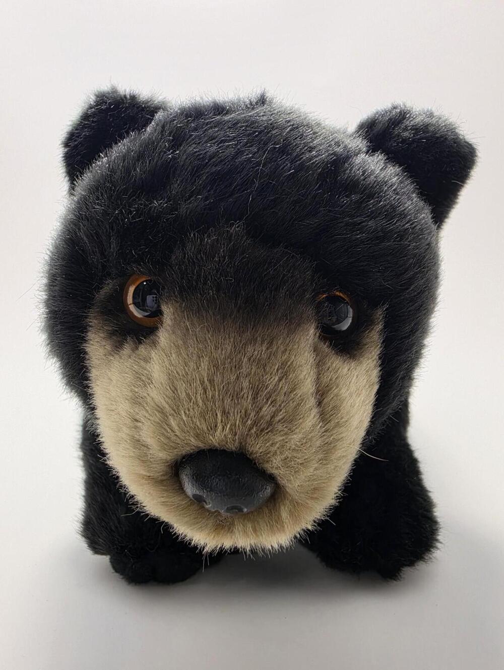 Webkinz Signature Black Bear Plush (10 inch) New without Code